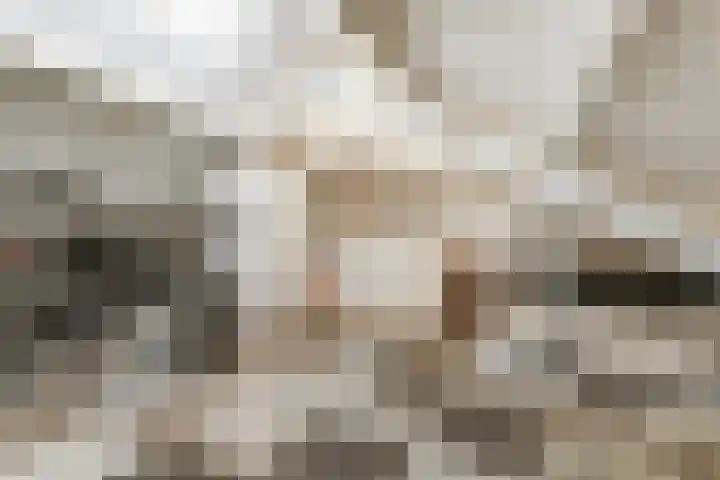 Schakelpad 2 Hoogvliet Rotterdam thumbnail 29
