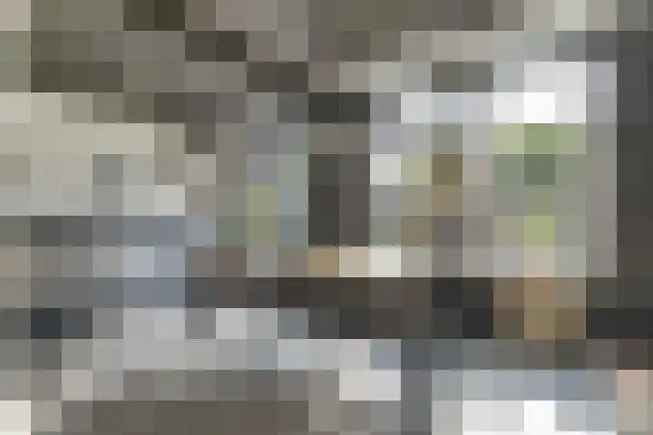 Schakelpad 2 Hoogvliet Rotterdam thumbnail 5