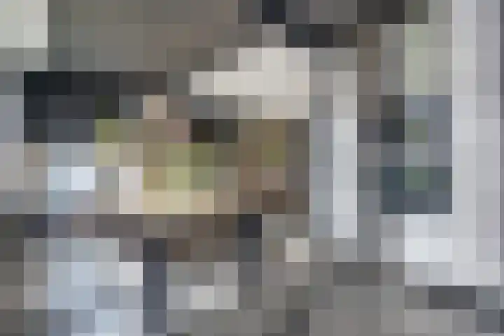 Schakelpad 2 Hoogvliet Rotterdam thumbnail 6