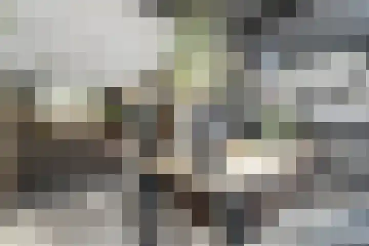 Schakelpad 2 Hoogvliet Rotterdam thumbnail 7