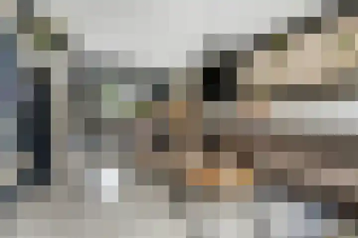Schakelpad 2 Hoogvliet Rotterdam thumbnail 8