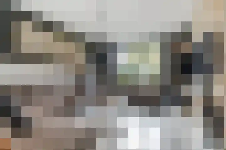 Schakelpad 2 Hoogvliet Rotterdam thumbnail 9