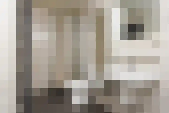 Schakelplein 11 Volkel thumbnail 12
