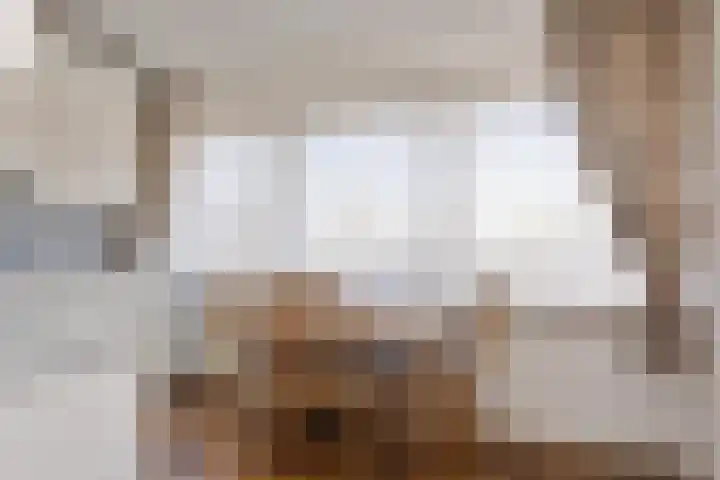 Schakelplein 11 Volkel thumbnail 9