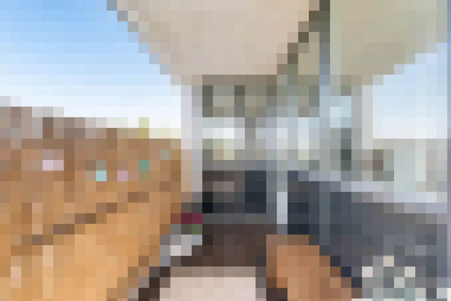 Schakelplein 3 Wormerveer thumbnail 34