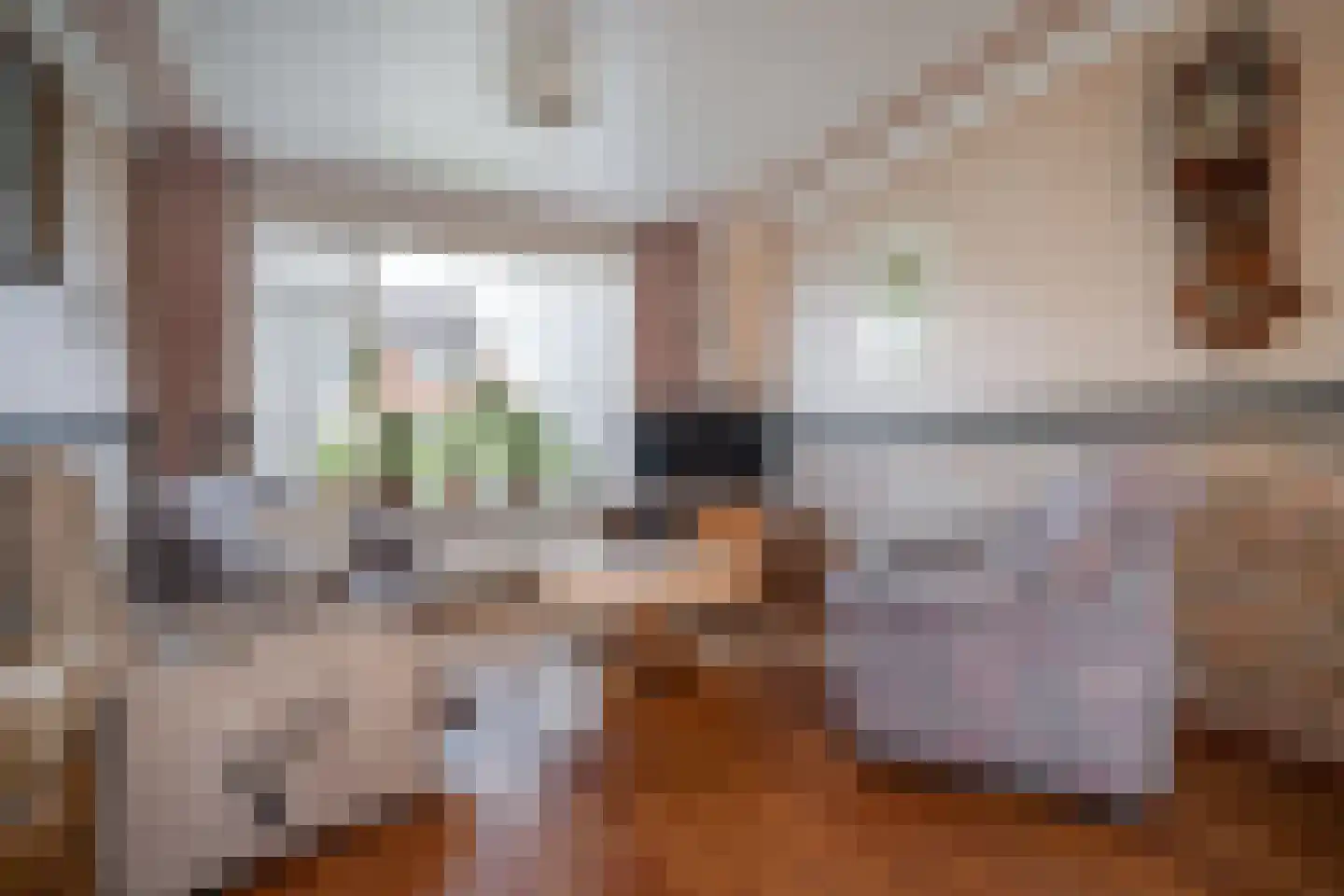 Schakelstraat 25 Westwoud thumbnail 17