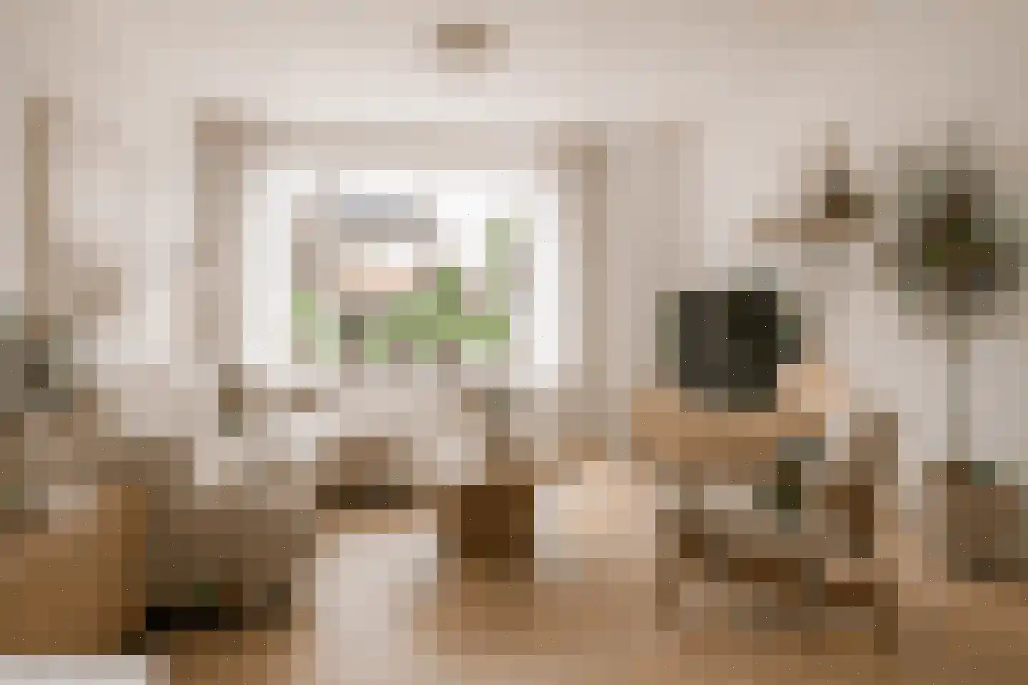 Schakelstraat 25 Westwoud thumbnail 18