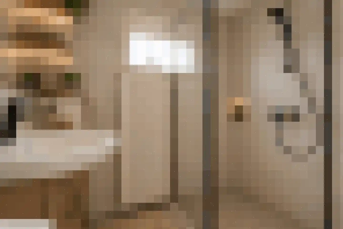 Schakelstraat 25 Westwoud thumbnail 36