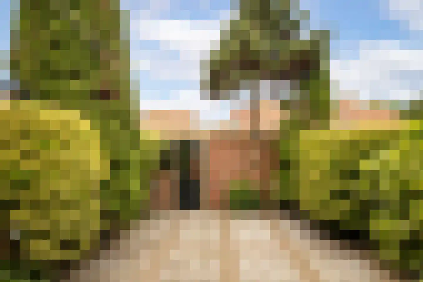 Schakelstraat 25 Westwoud thumbnail 45