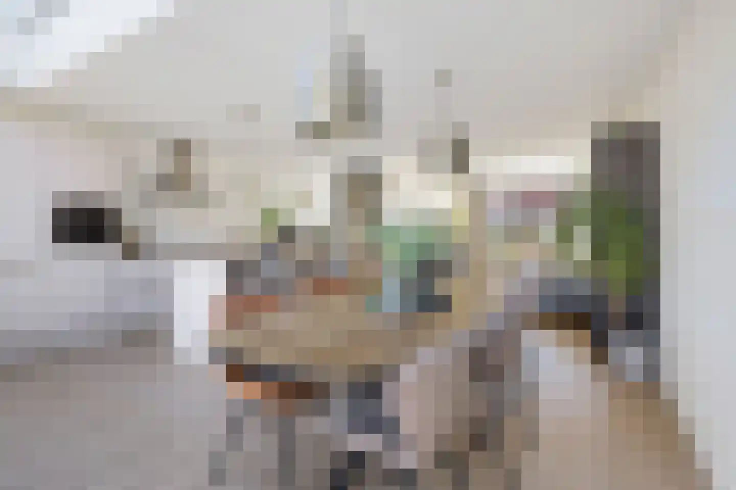 Schakelstraat 4 Westwoud thumbnail 10