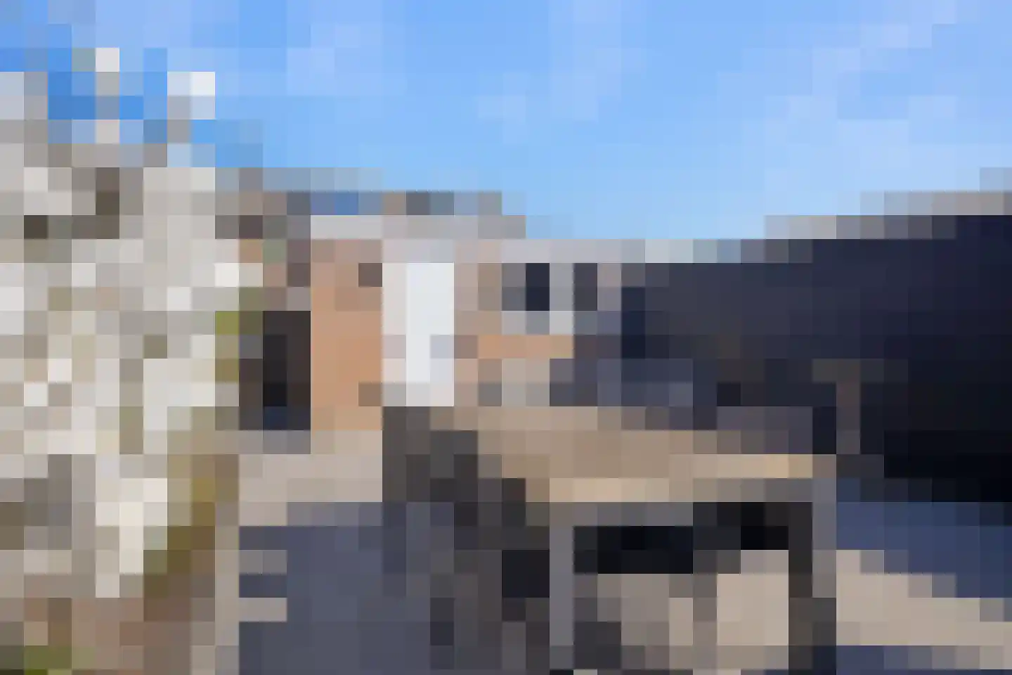 Schakelstraat 4 Westwoud thumbnail 25