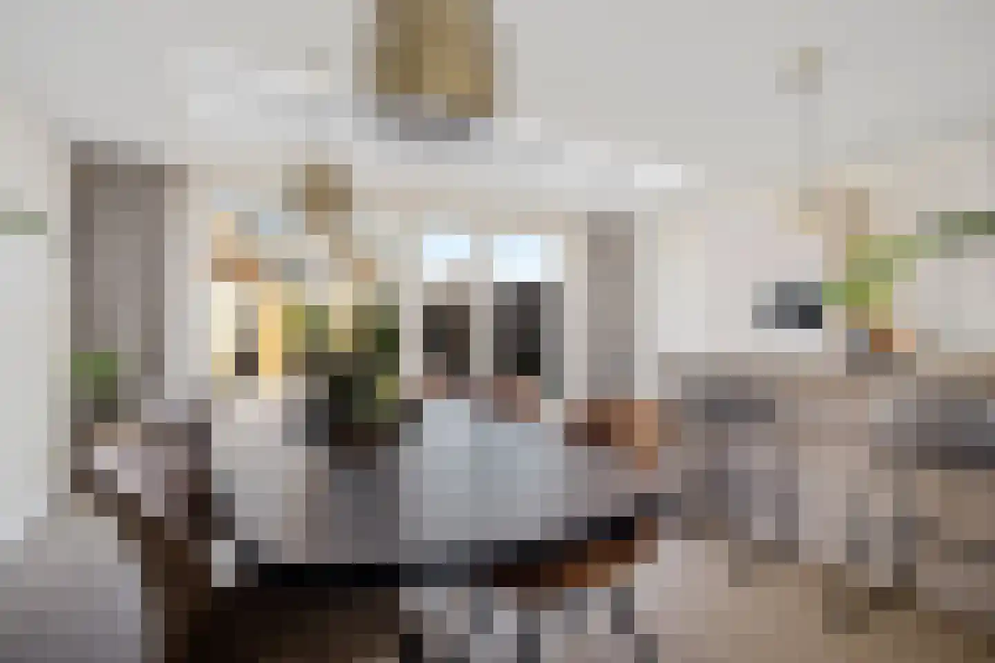 Schakelstraat 4 Westwoud thumbnail 8