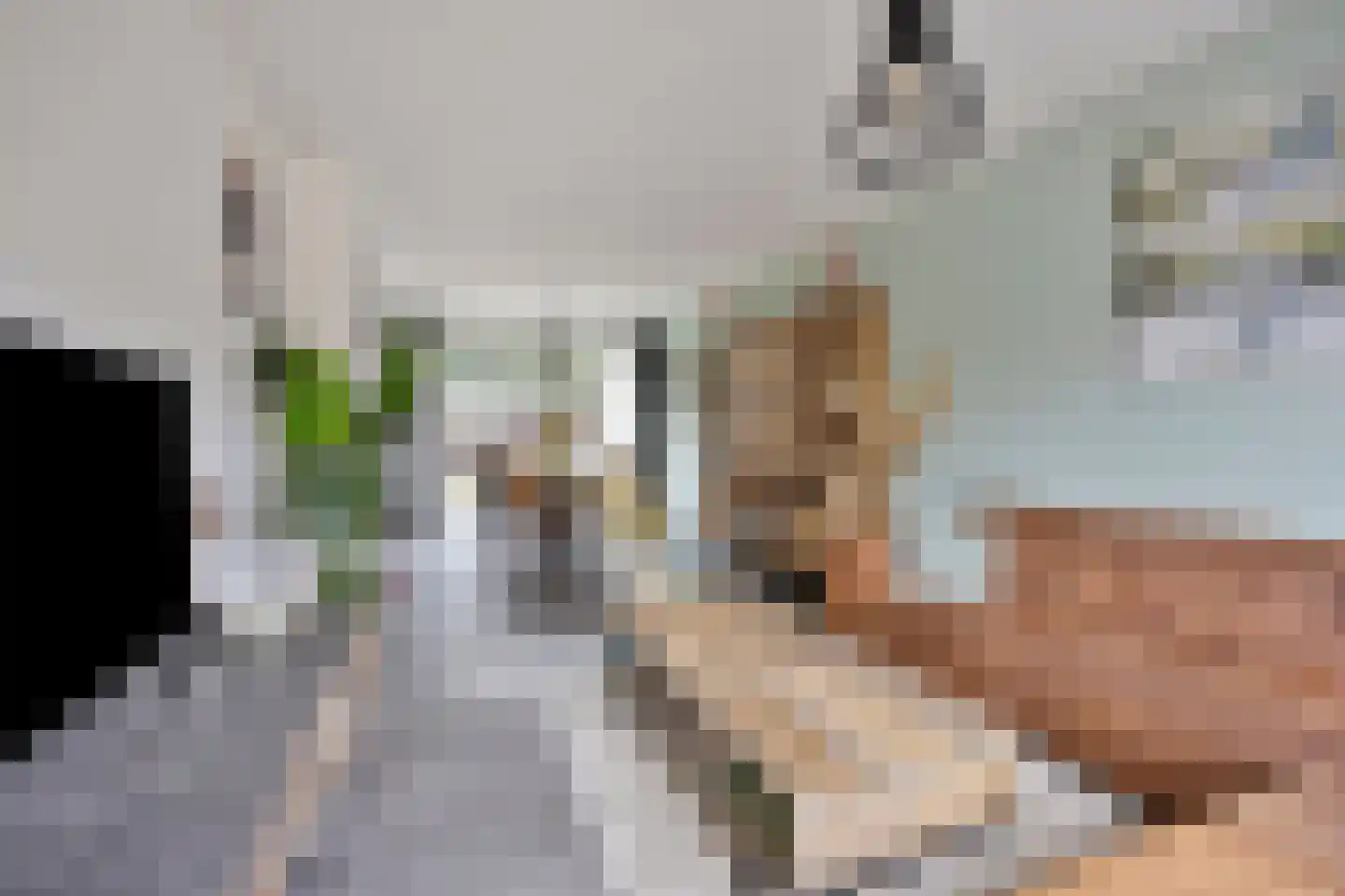 Schakelstraat 49 Westwoud thumbnail 9