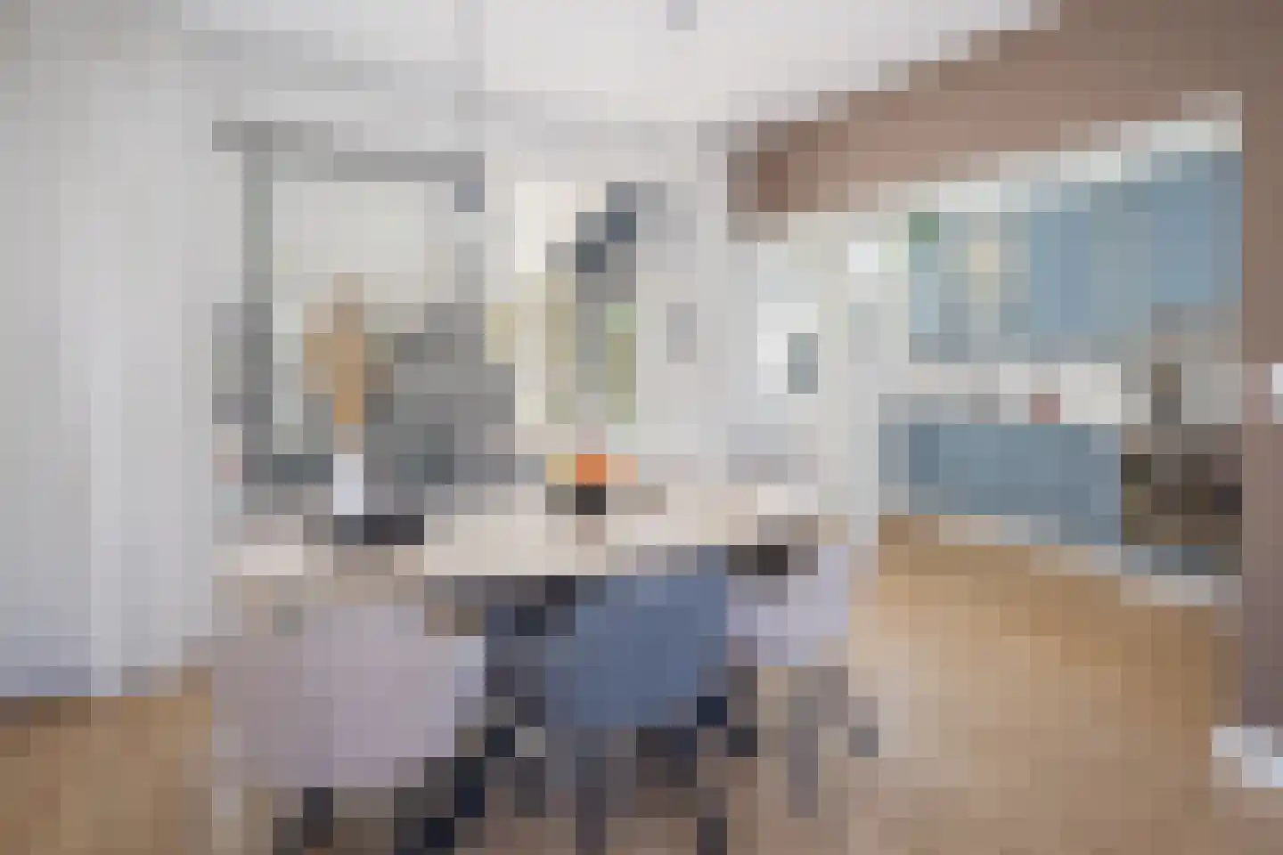 Schakelstraat 50 Westwoud thumbnail 12