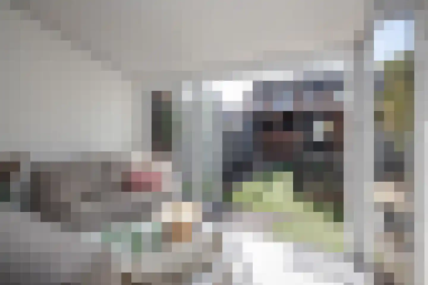 Schakelstraat 50 Westwoud thumbnail 13