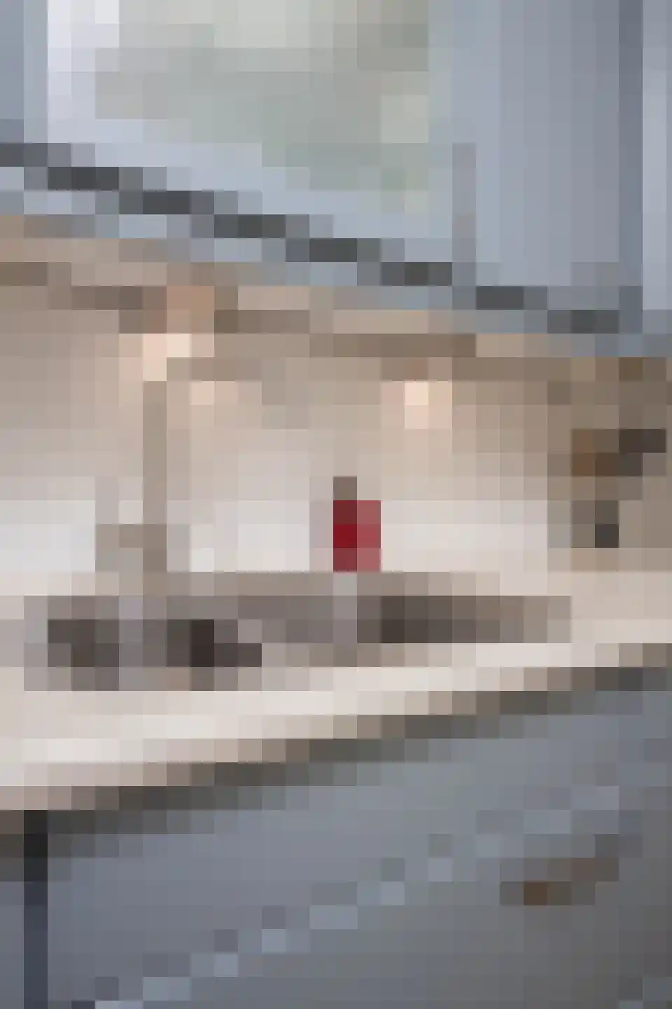 Schakelstraat 50 Westwoud thumbnail 46