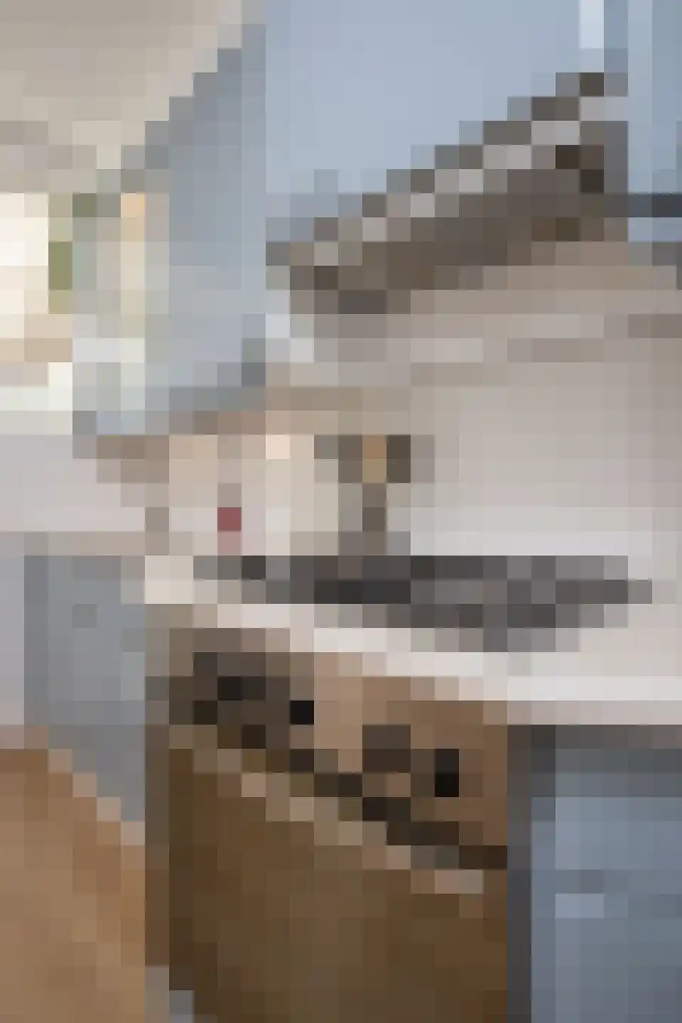 Schakelstraat 50 Westwoud thumbnail 47