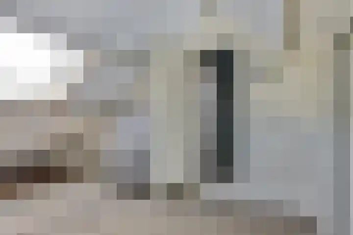 Schakelstraat 55 Westwoud thumbnail 36