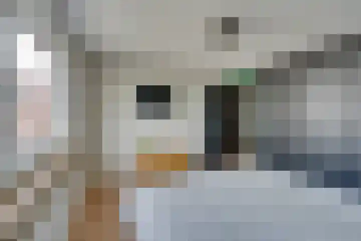 Schakelstraat 57 Westwoud thumbnail 35
