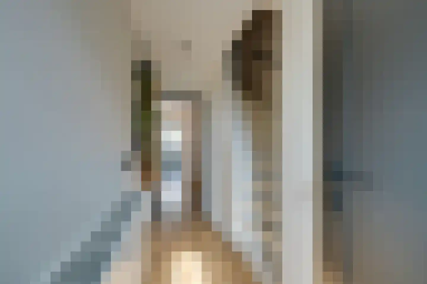Schakelstraat 57 Westwoud thumbnail 6