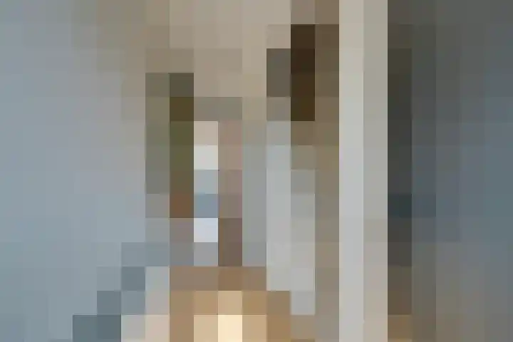 Schakelstraat 57 Westwoud thumbnail 9