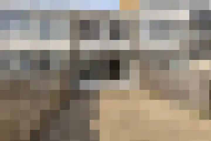 Schakelweg 6 Hoogvliet Rotterdam thumbnail 18