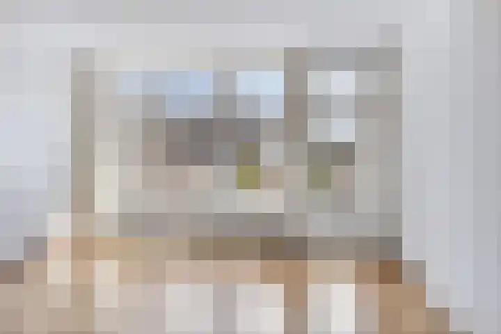 Schakelweg 6 Hoogvliet Rotterdam thumbnail 7