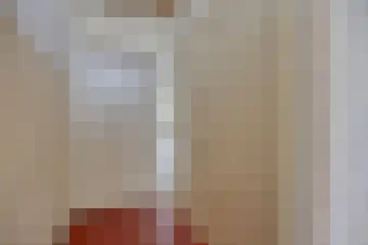 Schakelweg 76 Hoogvliet Rotterdam thumbnail 7