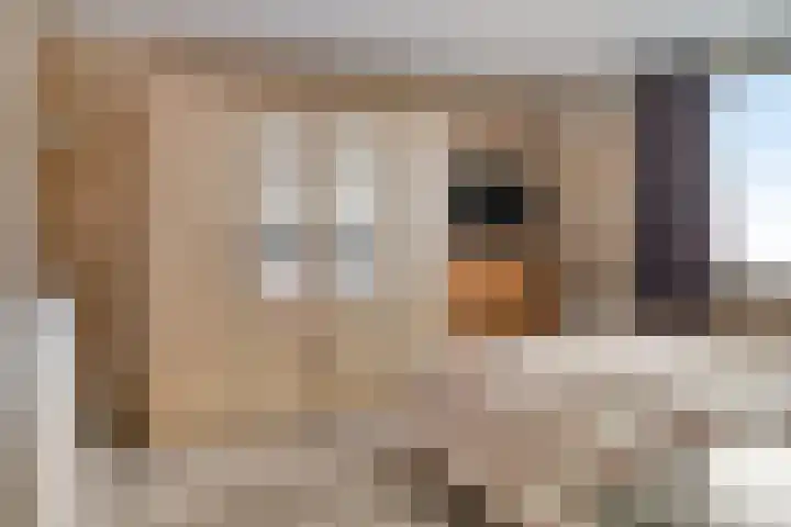 Schakenbosdreef 6 Oudewater thumbnail 13