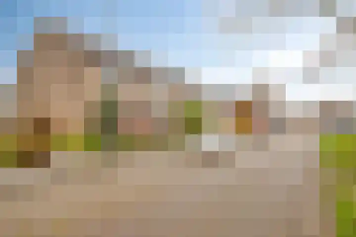 Schakenbosdreef 6 Oudewater thumbnail 24