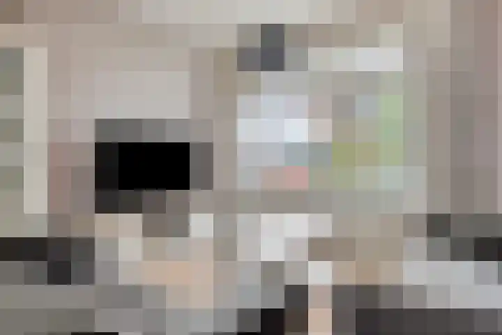 Schakenbosdreef 6 Oudewater thumbnail 4
