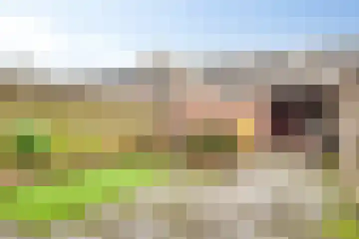 Schakenbosdreef 6 Oudewater thumbnail 9