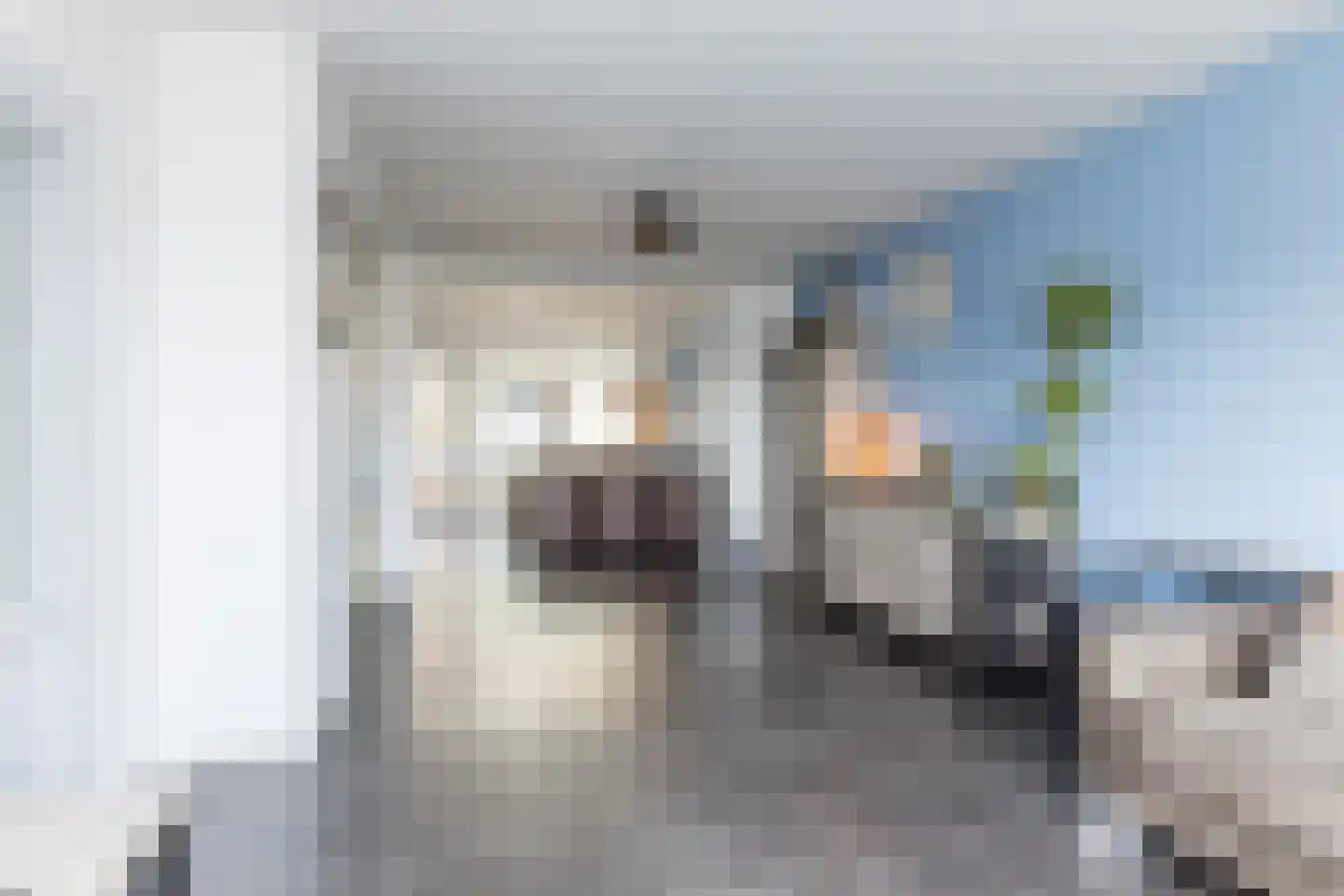 Schalenboschweg 17 Klimmen thumbnail 9