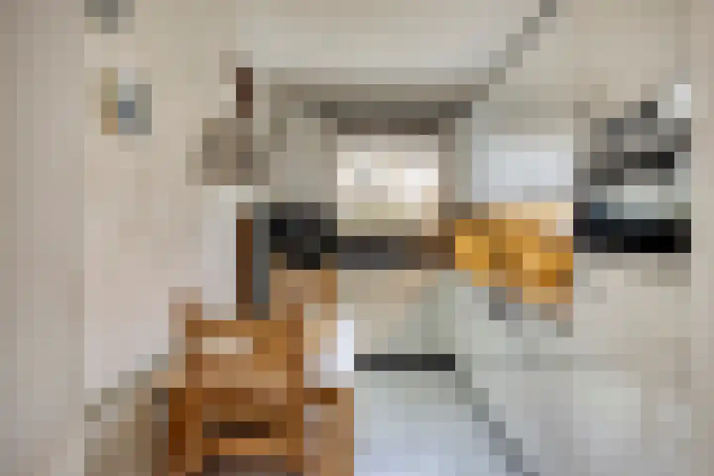 Schaliedekkersdreef 102 Maastricht thumbnail 12