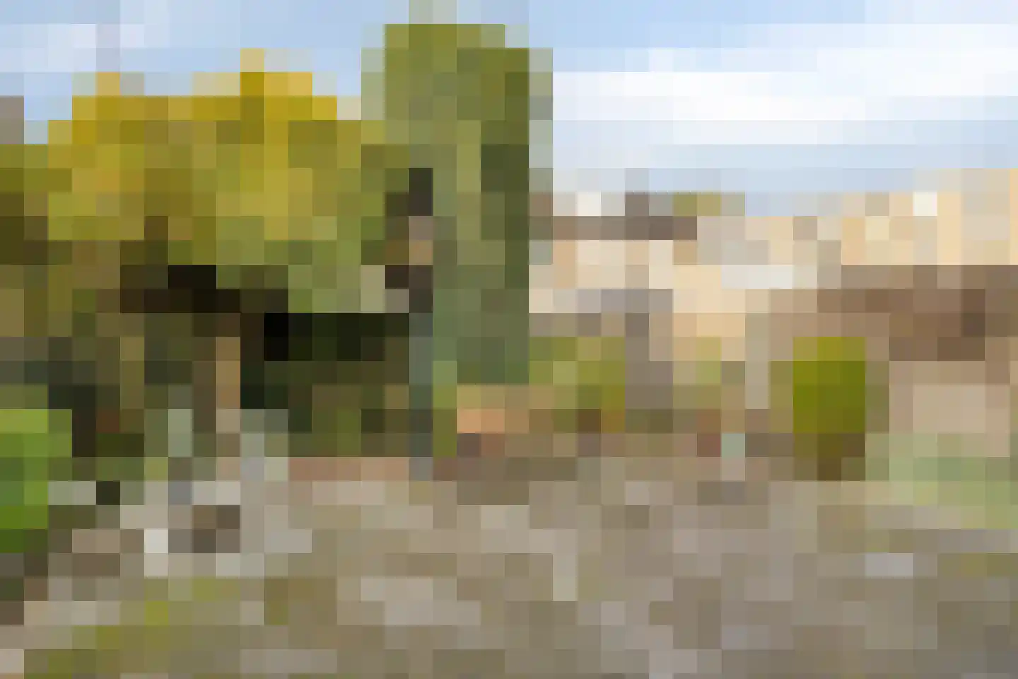 Schaliedekkersdreef 102 Maastricht thumbnail 16