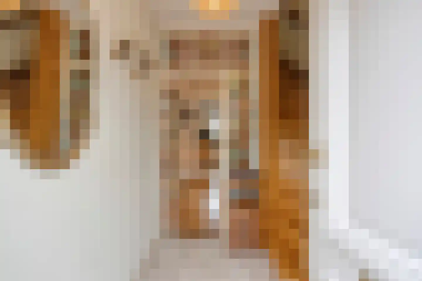 Schaliedekkersdreef 102 Maastricht thumbnail 7