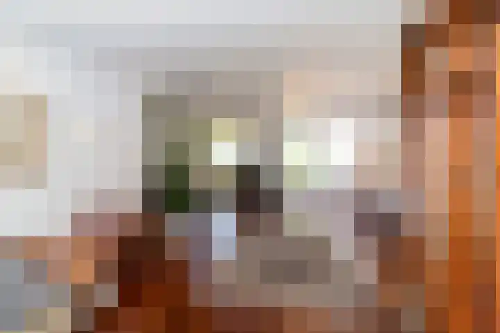 Schaliedekkersdreef 19 Maastricht thumbnail 12
