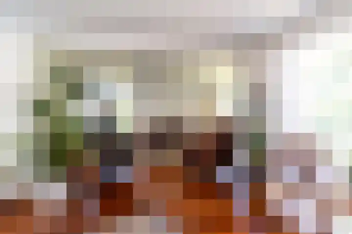Schaliedekkersdreef 19 Maastricht thumbnail 13