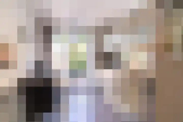 Schaliedekkersdreef 19 Maastricht thumbnail 17