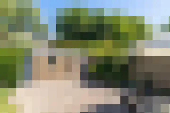 Schaliedekkersdreef 19 Maastricht thumbnail 22