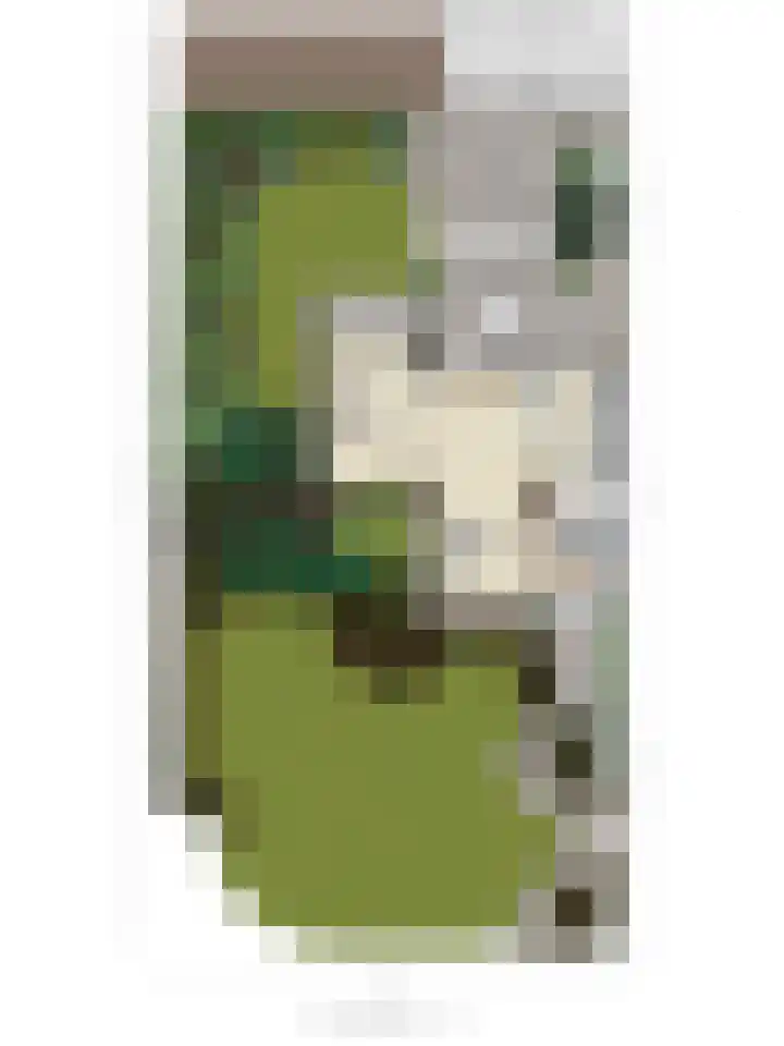 Schaliedekkersdreef 19 Maastricht thumbnail 38