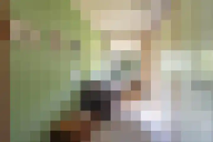Schaliedekkersdreef 44 A Maastricht thumbnail 12