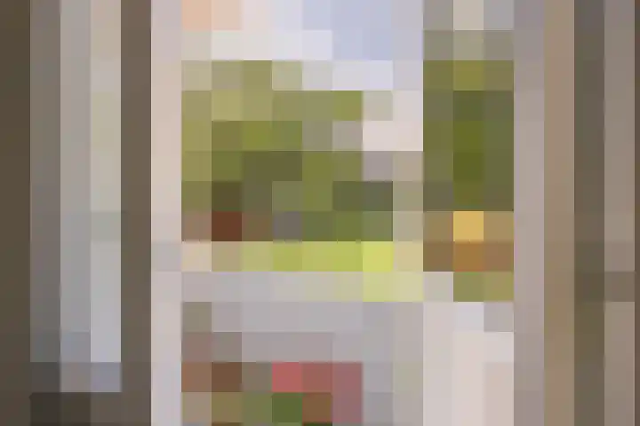 Schaliedekkersdreef 44 A Maastricht thumbnail 13
