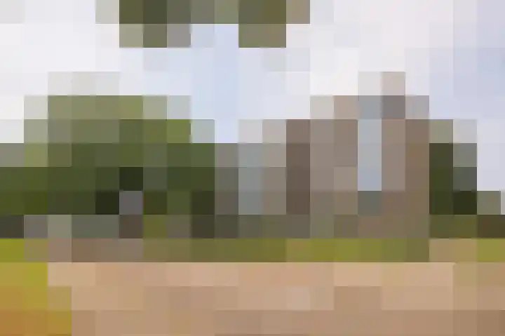 Schaliedekkersdreef 44 A Maastricht thumbnail 16