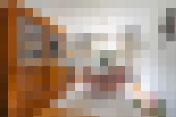 Schaliedekkersdreef 44 A Maastricht thumbnail 4