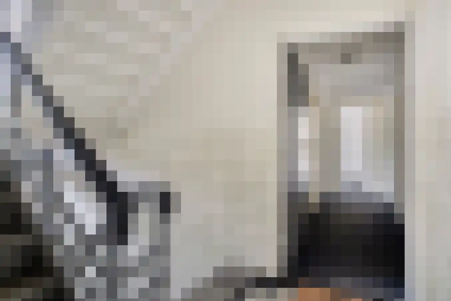 Schaliedekkersdreef 50 B Maastricht thumbnail 20