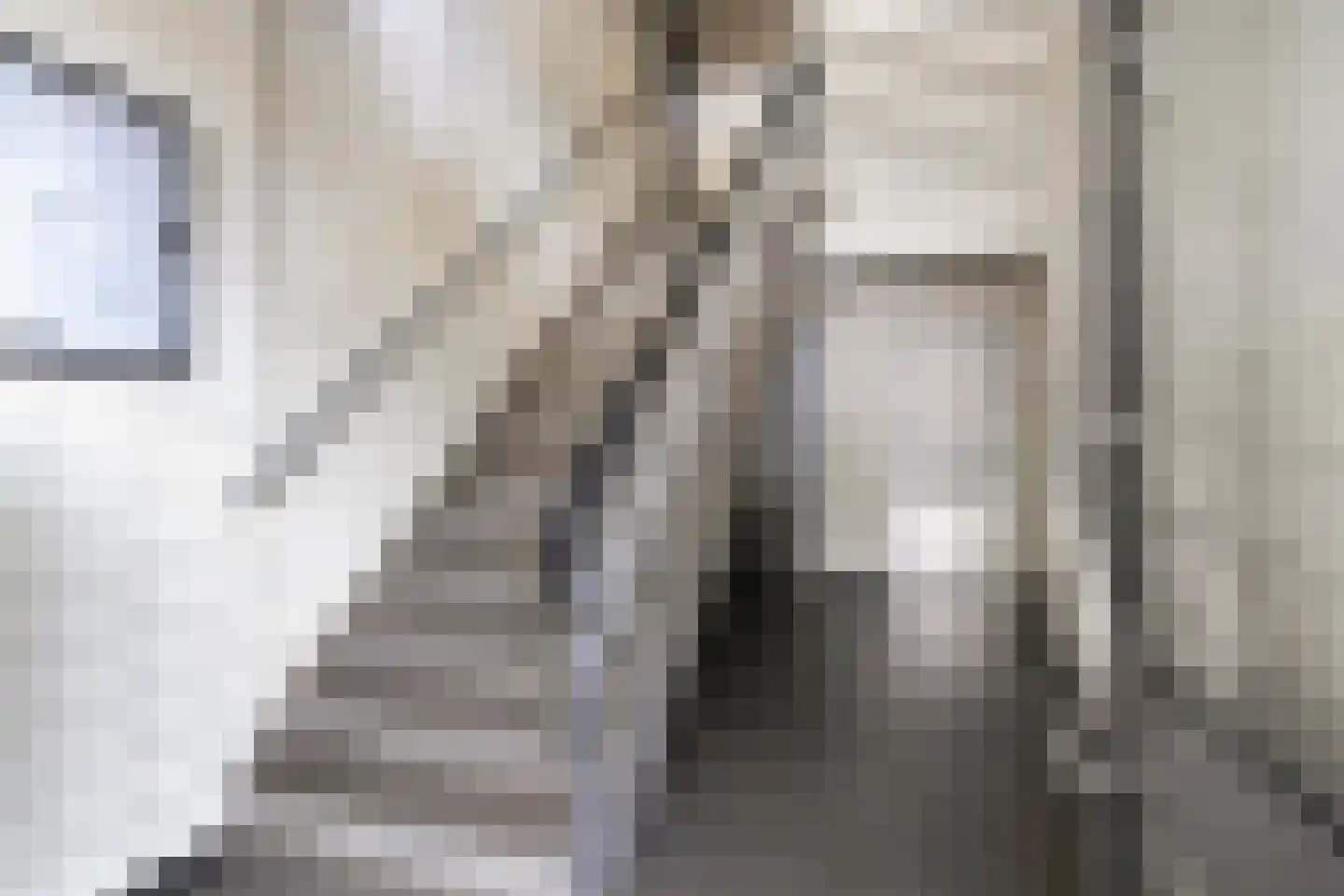 Schaliedekkersdreef 50 B Maastricht thumbnail 21