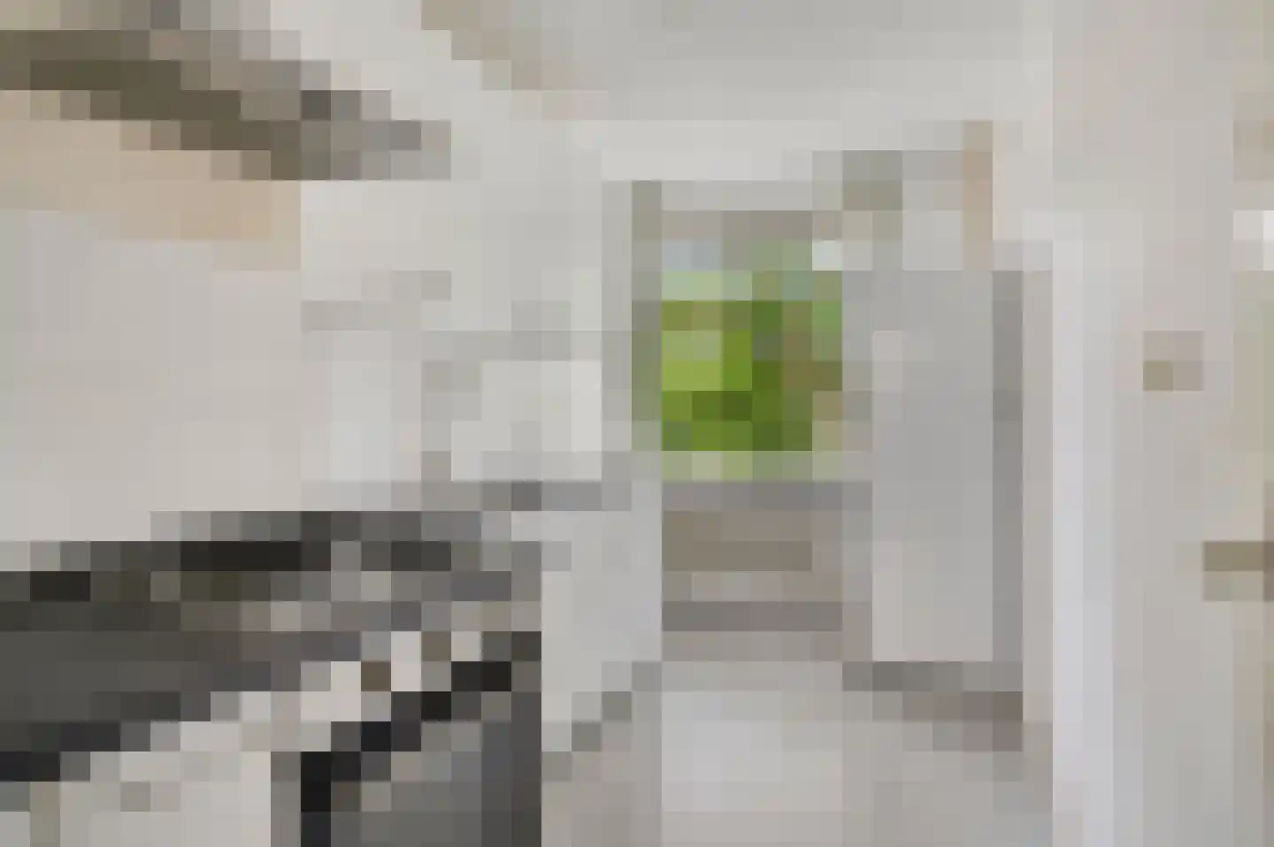 Schaliedekkersdreef 50 B Maastricht thumbnail 6