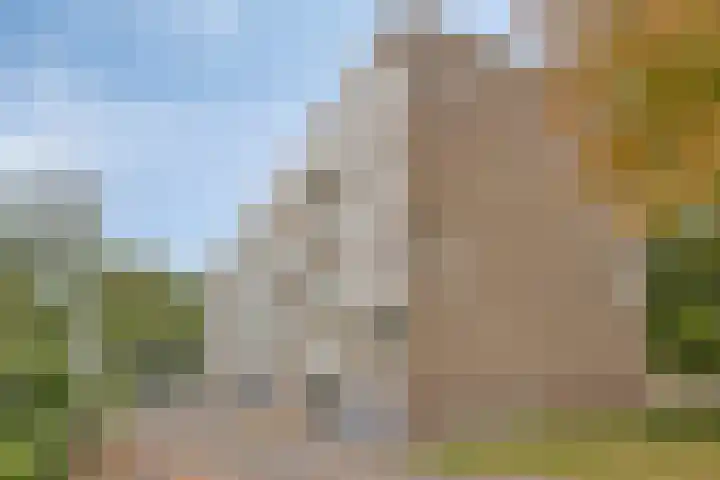 Schaliedekkersdreef 50 D Maastricht thumbnail 6