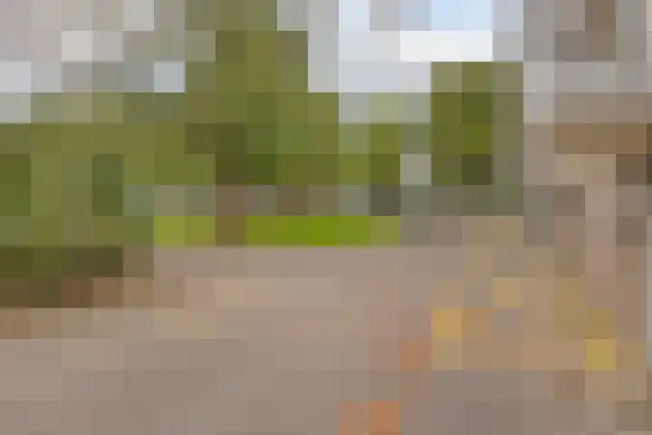 Schaliedekkersdreef 50 D Maastricht thumbnail 7